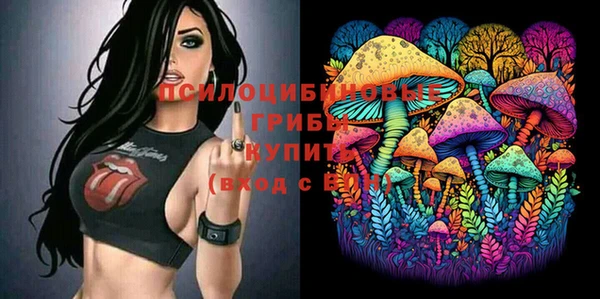 MDMA Богородск